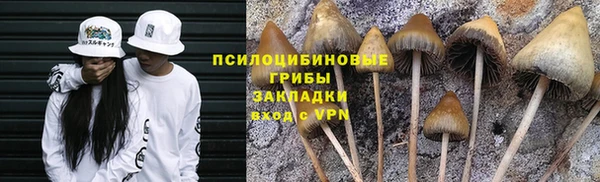 бошки Алексин