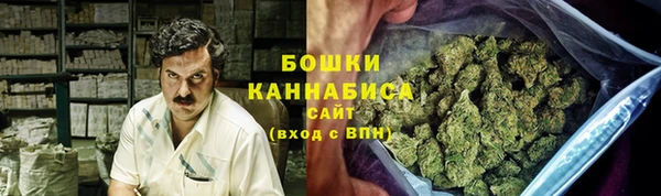 бошки Алексин