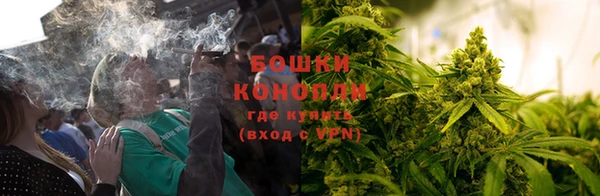 бошки Алексин