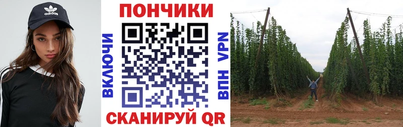 как найти закладки  Солигалич  Конопля VHQ 